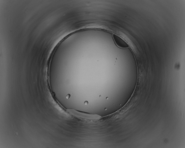 X0000093601092200710221542