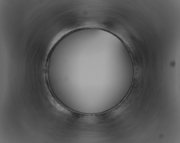 X0000093601094200710221542