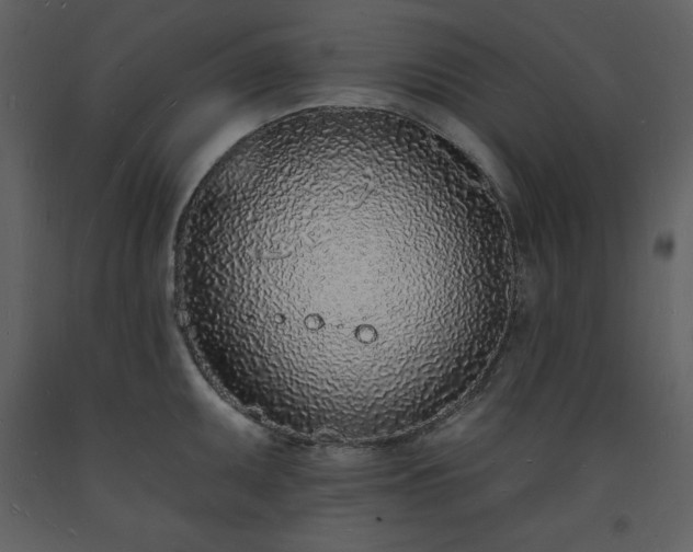 X0000093601095200710221542