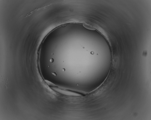 X0000093601096200710221542