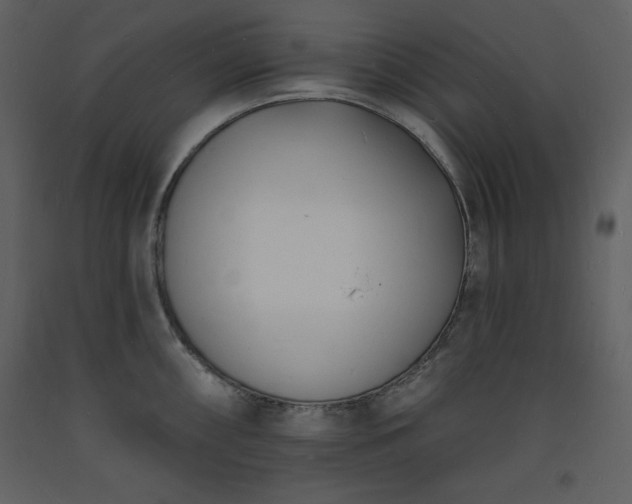 X0000093601098200710221542