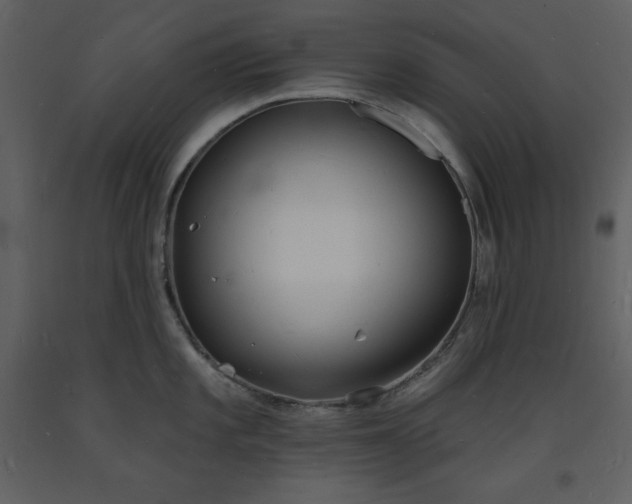 X0000093601101200710221542