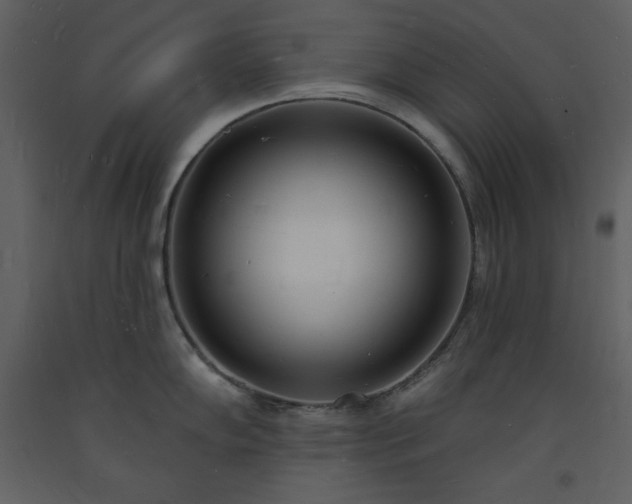 X0000093601102200710221542