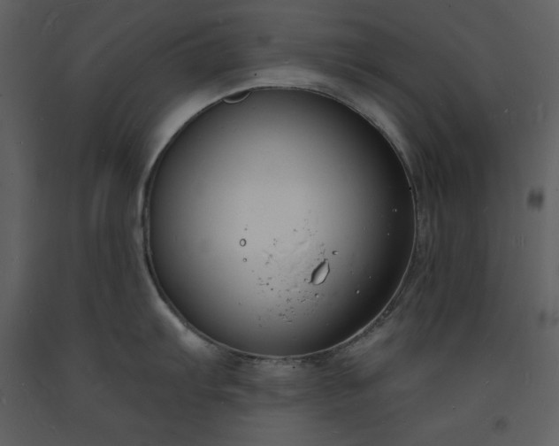 X0000093601103200710221542