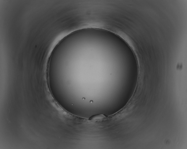 X0000093601104200710221542