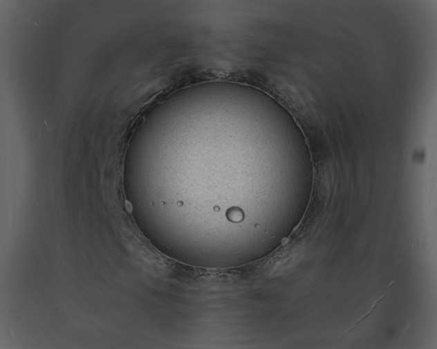 X0000093601105200710221542