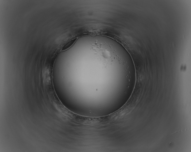 X0000093601106200710221542