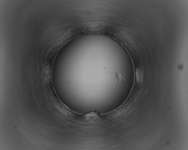 X0000093601107200710221542