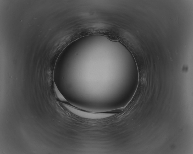 X0000093601108200710221542