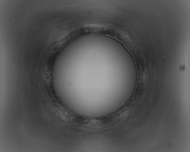 X0000093601109200710221542