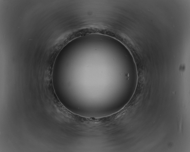 X0000093601110200710221542