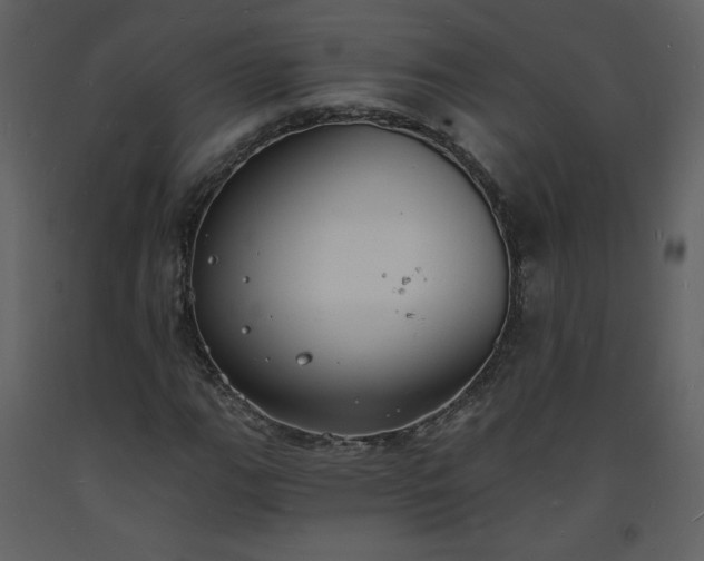 X0000093601111200710221542