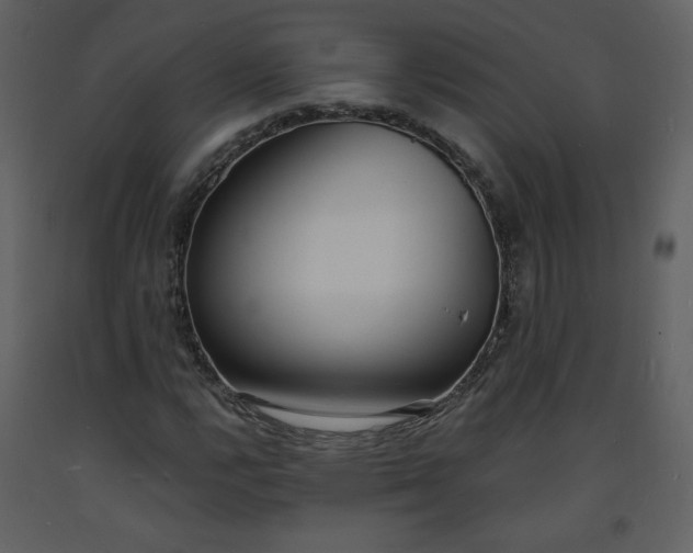 X0000093601112200710221542