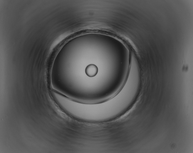 X0000093601114200710221542