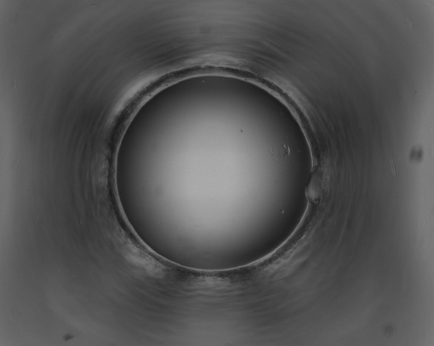 X0000093601115200710221542