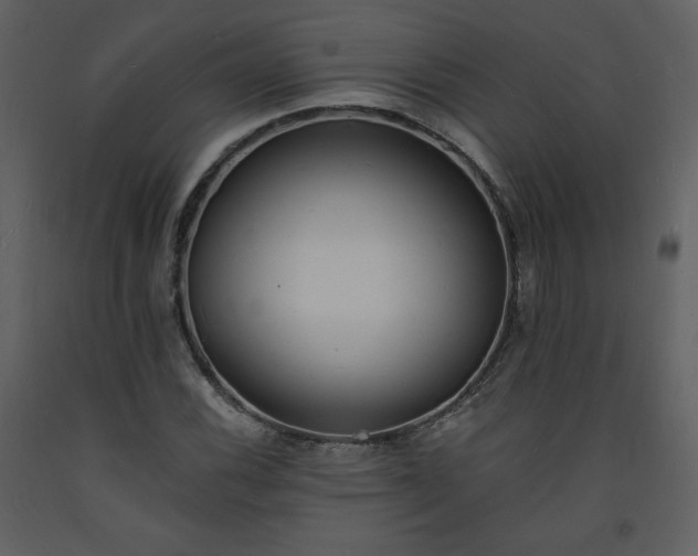 X0000093601116200710221542