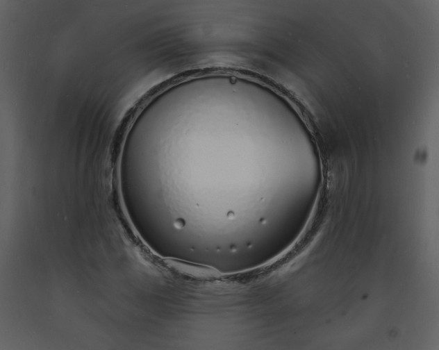 X0000093601117200710221542