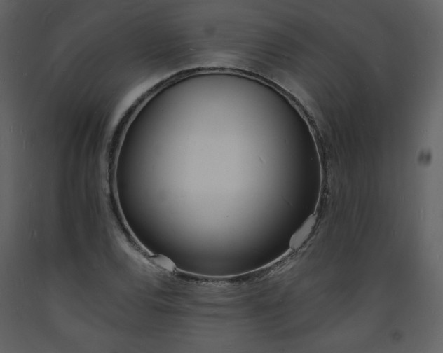 X0000093601120200710221542