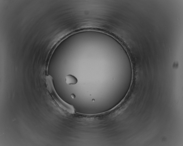 X0000093601121200710221542