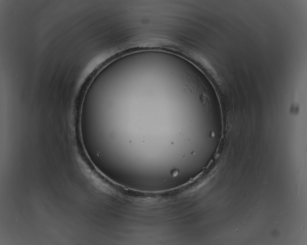 X0000093601122200710221542