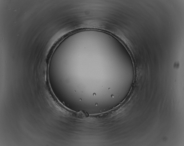 X0000093601123200710221542