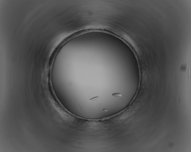 X0000093601124200710221542