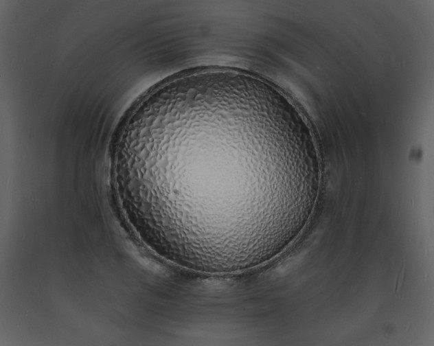 X0000093601125200710221542