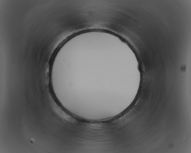 X0000093601126200710221542