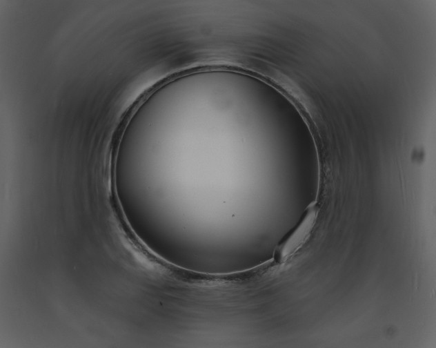 X0000093601127200710221542