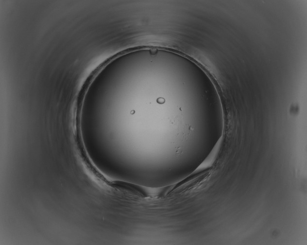 X0000093601128200710221542