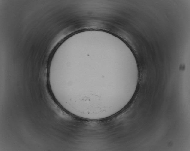 X0000093601130200710221542