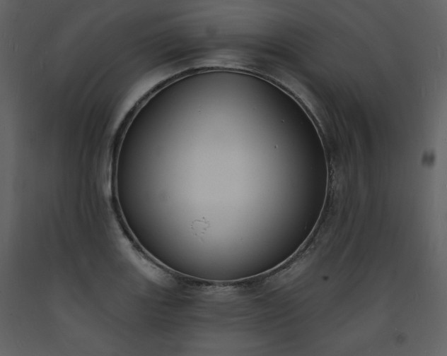 X0000093601131200710221542