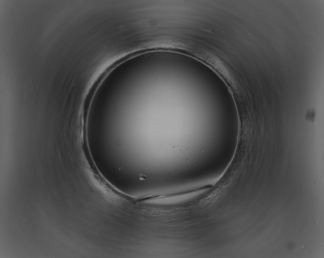 X0000093601132200710221542