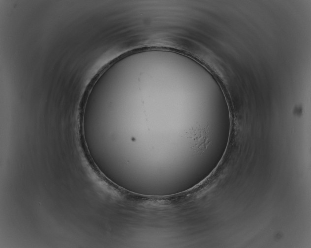 X0000093601133200710221542