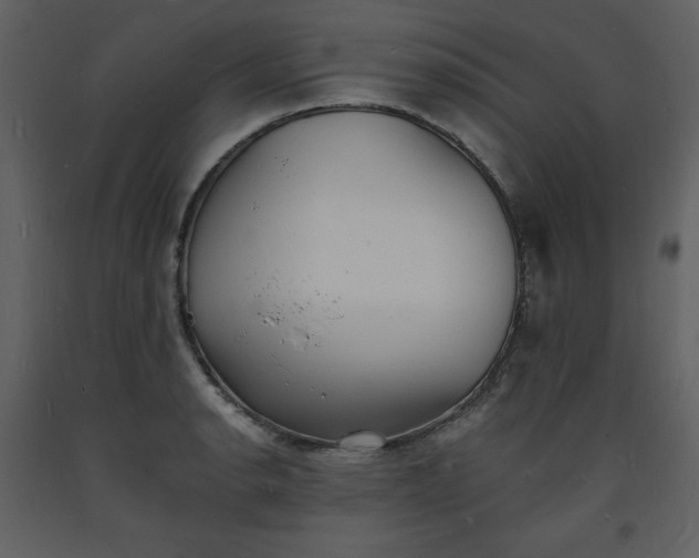 X0000093601134200710221542