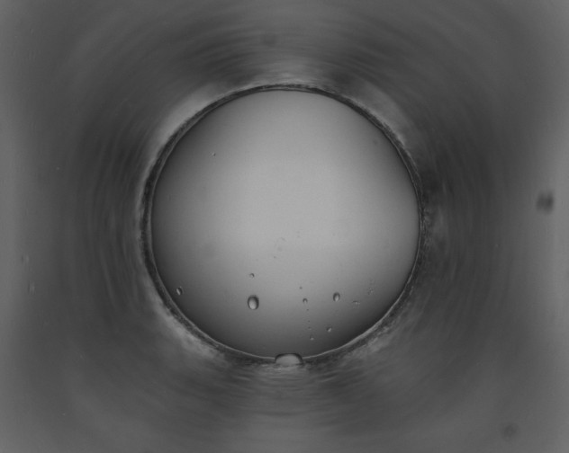 X0000093601135200710221542