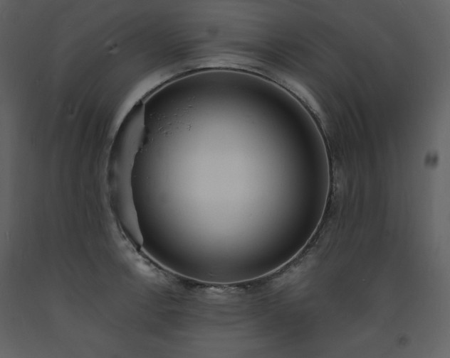 X0000093601138200710221542