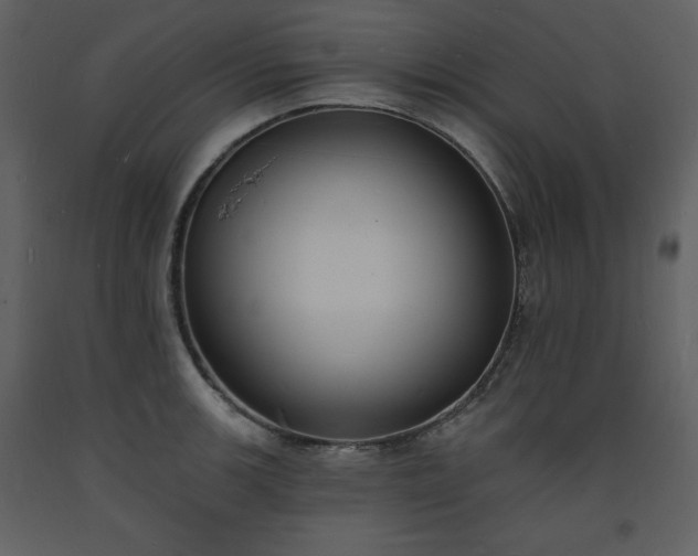 X0000093601139200710221542