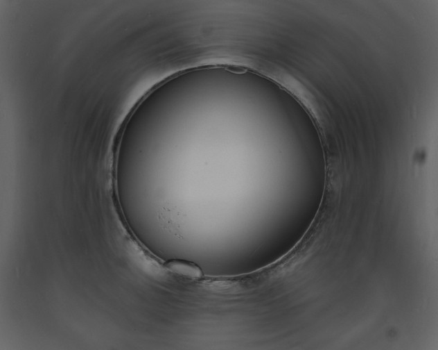 X0000093601140200710221542