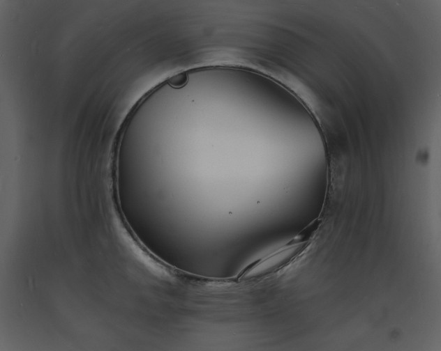 X0000093601142200710221542