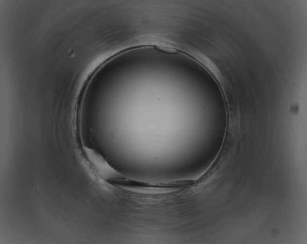 X0000093601144200710221542