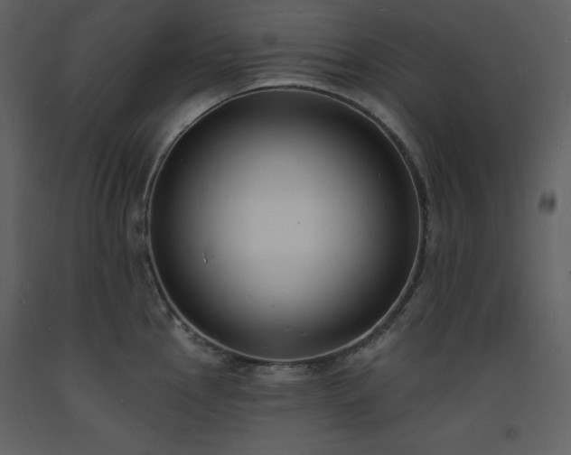 X0000093601145200710221542