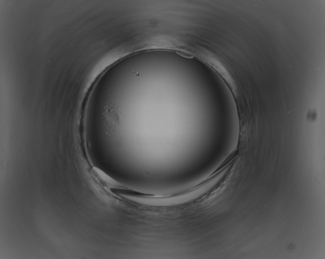 X0000093601146200710221542