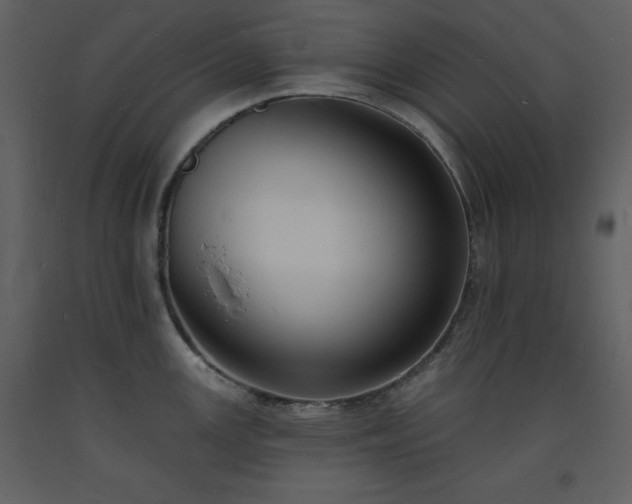 X0000093601147200710221542