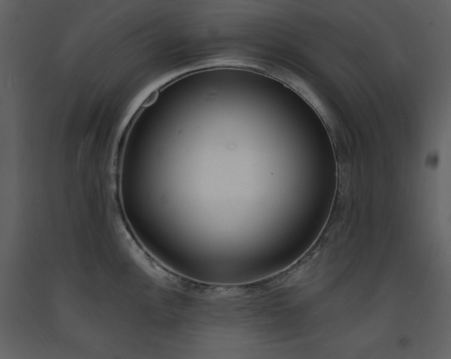 X0000093601148200710221542