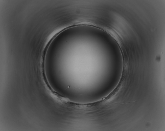 X0000093601149200710221542