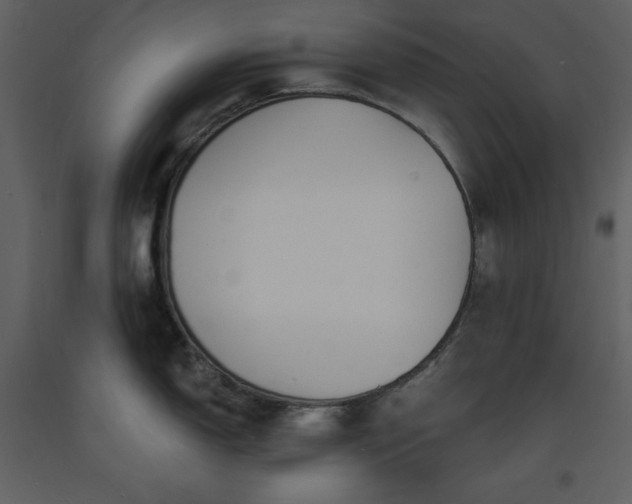 X0000093601150200710221542