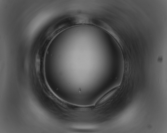 X0000093601151200710221542