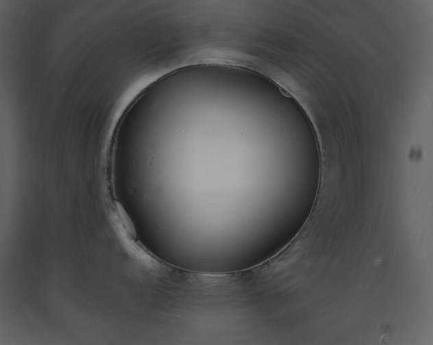 X0000093601152200710221542