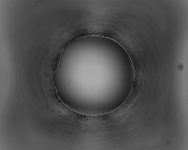 X0000093601153200710221542